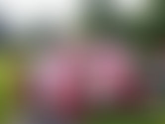 記我會快樂種植羣首次野餐聯誼活動