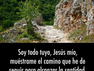 Frase del día