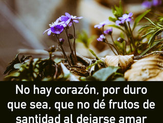 Frase del día