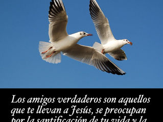 Frase del día