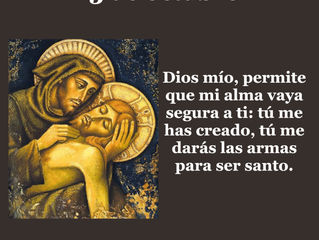 Frase del día