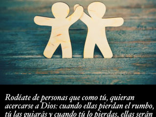 Frase del día