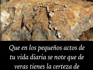 Frase del día