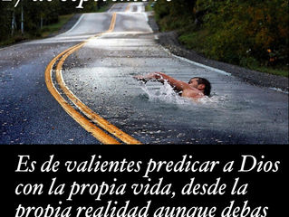 Frase del día