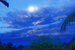 b4a6066b-057e-4c01-b3e6-673754272009