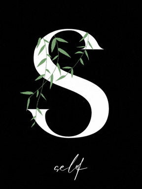 S.gif