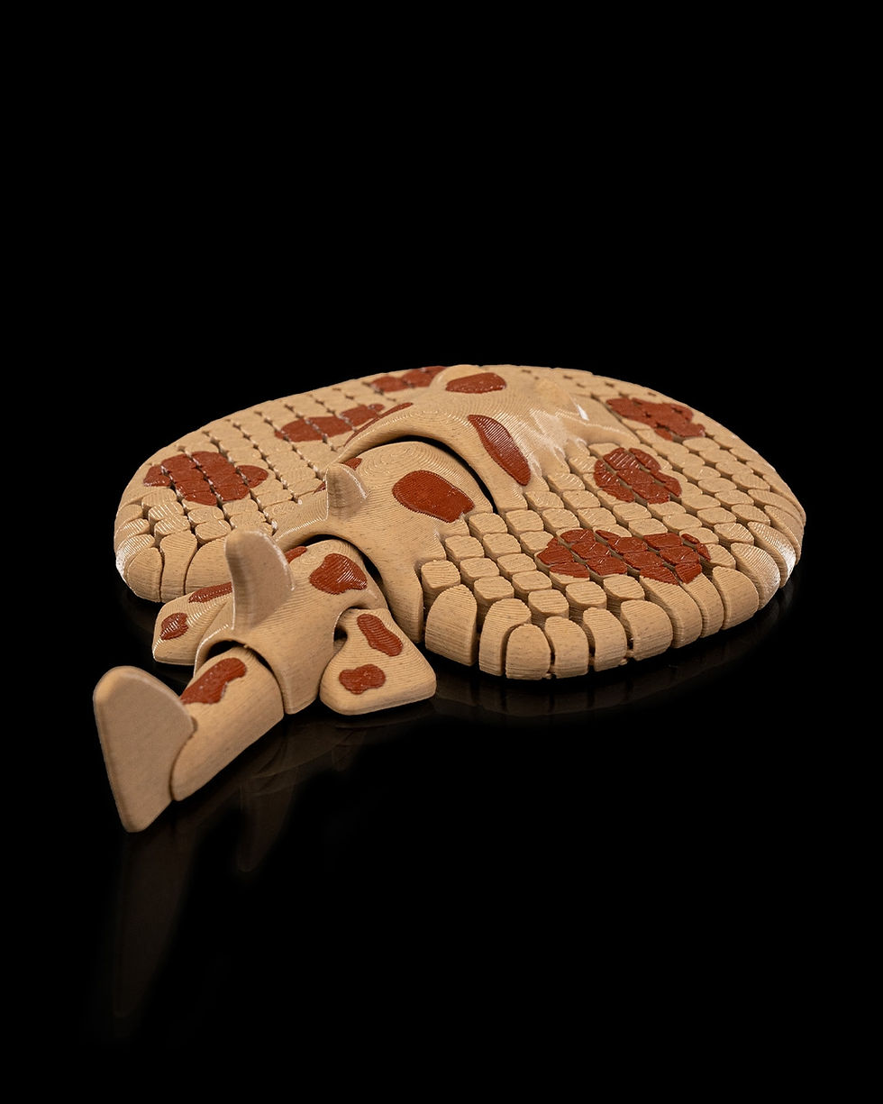 Miniaturbild: Flexibler Fleckrochen – Eleganz der Tiefsee