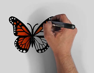 fotogramma farfalla.jpg