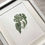 Thumbnail: Print Chameleon | White Lotus