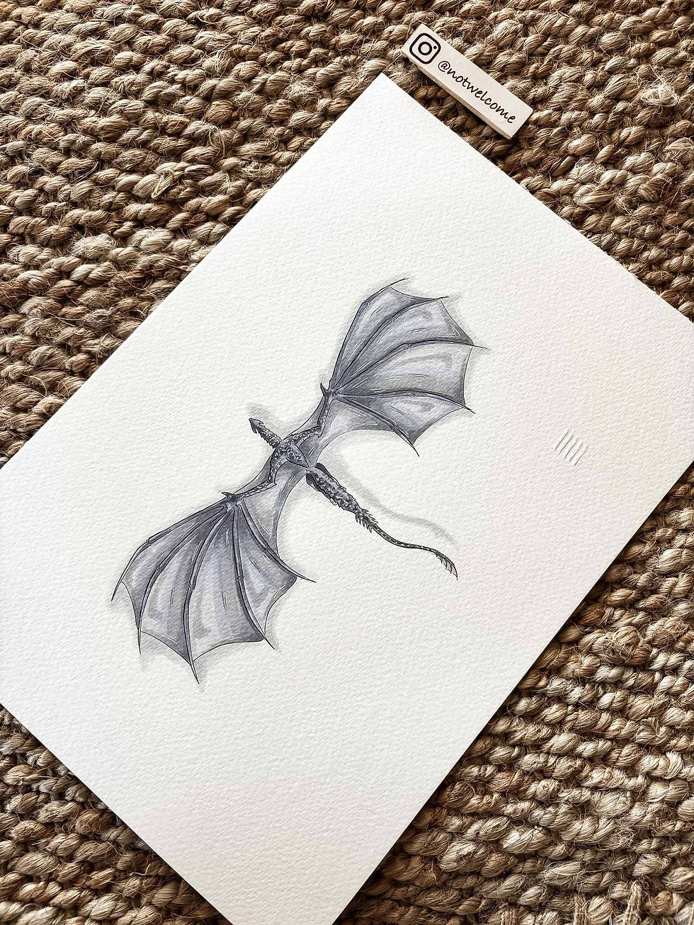 Miniatura: Silverwing Wings
