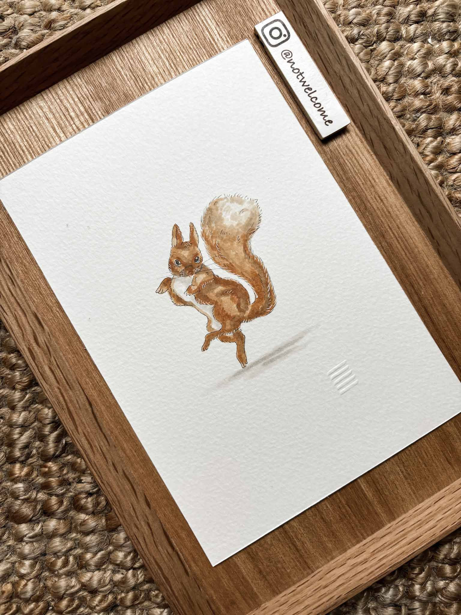 Squirrel Nutkin