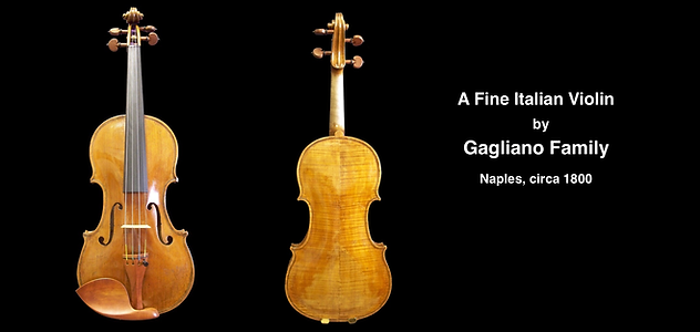 Gagliano | Guadagnini Violin Shop | www.guadagniniviolins.com | Chicago