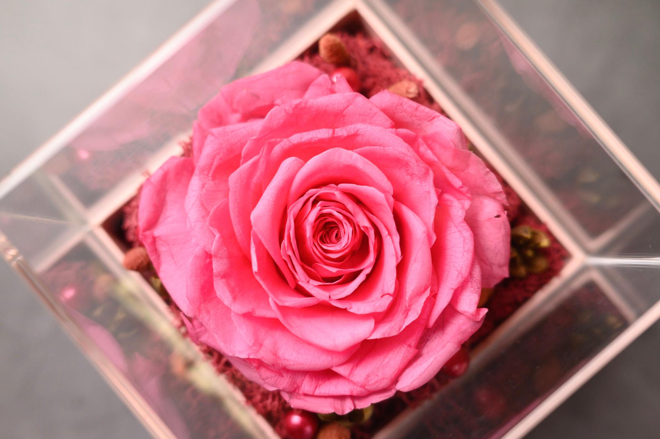 The Enchanted Love Box