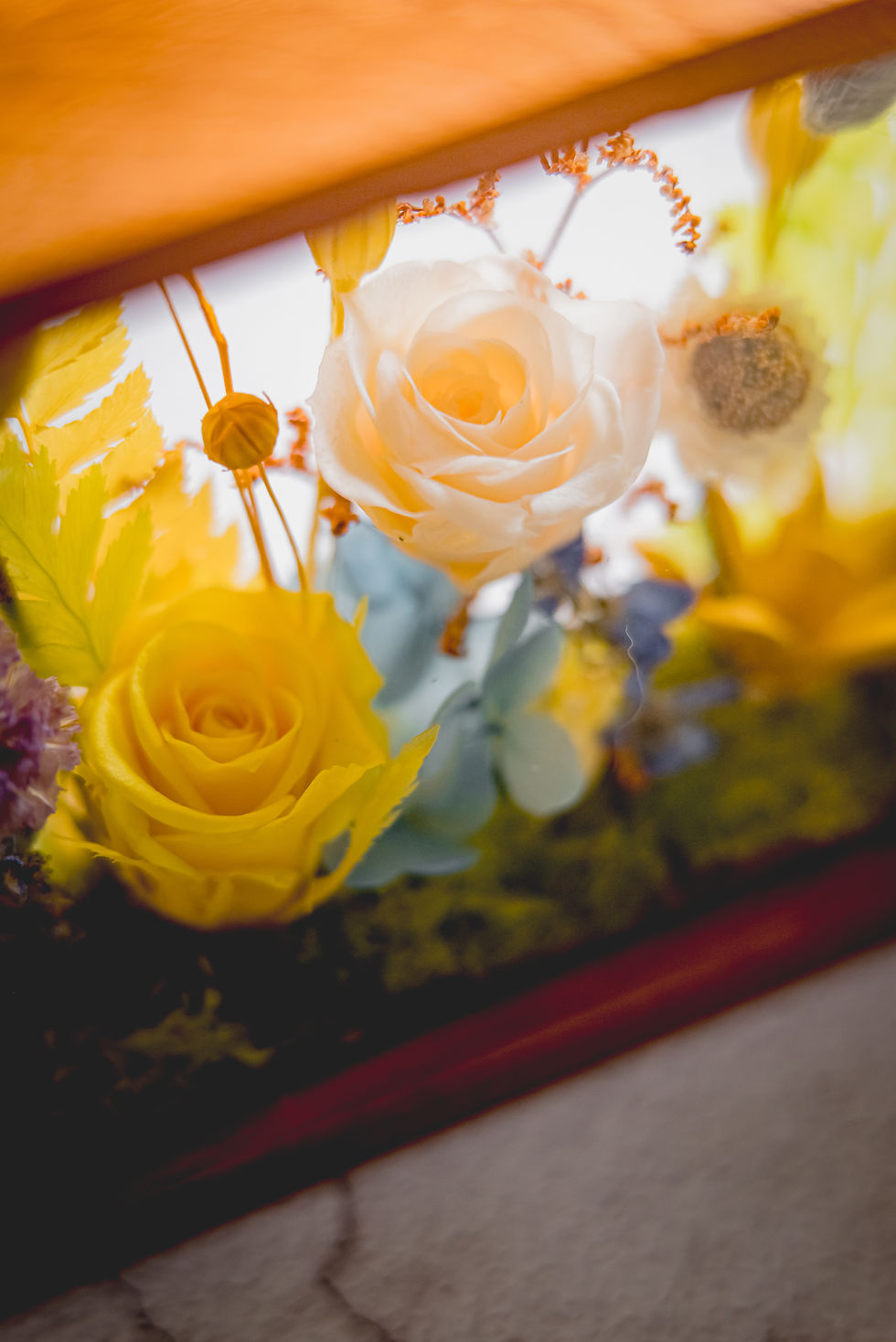 Thumbnail: Wonderland [Joy with Love]