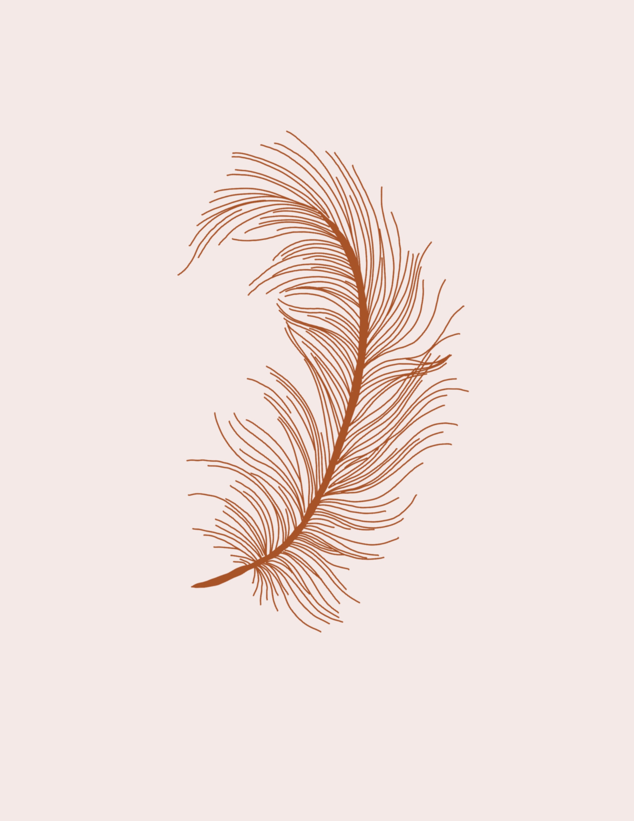 STL Boa Feather- 3"