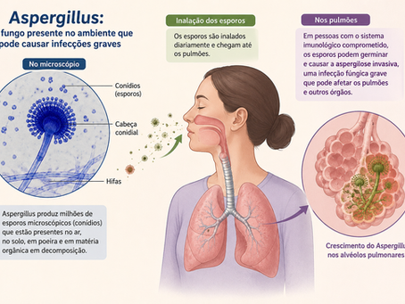 Como um teste rápido pode ajudar no diagnóstico da aspergilose invasiva?