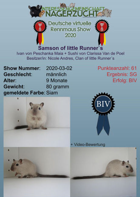 Sieger Samson.jpg