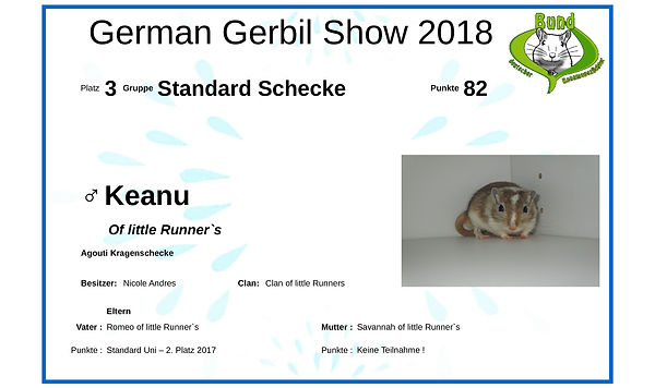 Urkunde-Keanu neu.jpg
