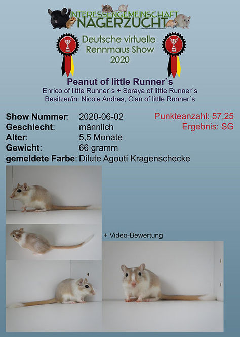 Sieger Peanut.jpg