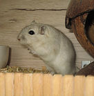 IMG_4385.JPG