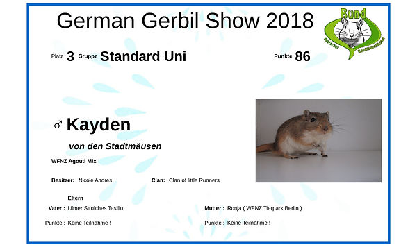 Urkunde-Kayden neu.jpg