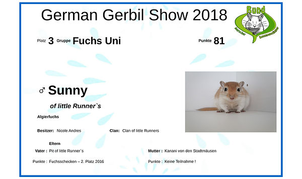 Urkunde-Sunny neu.jpg