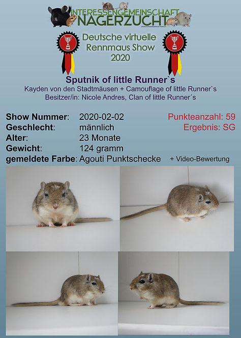 Sieger Sputnik.jpg
