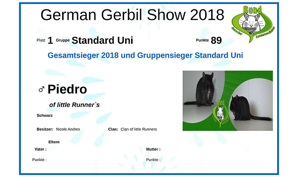 Urkunde-Piedro neu.jpg