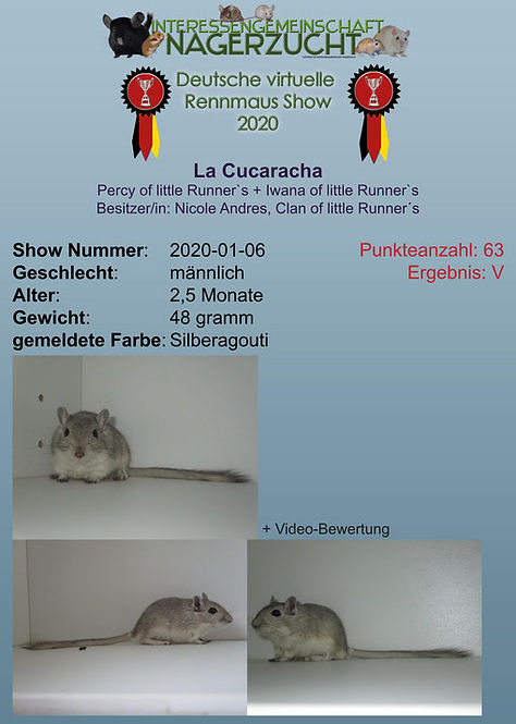 Sieger La Cucaracha.jpg