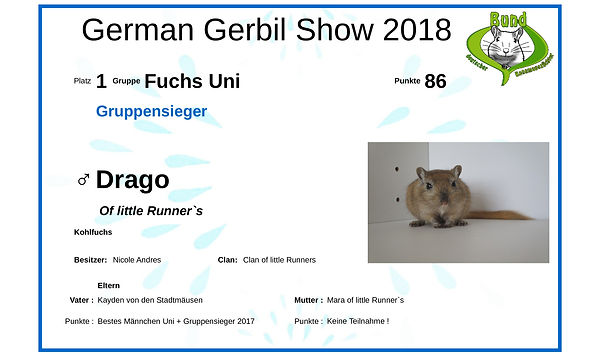 Urkunde-Drago neu.jpg