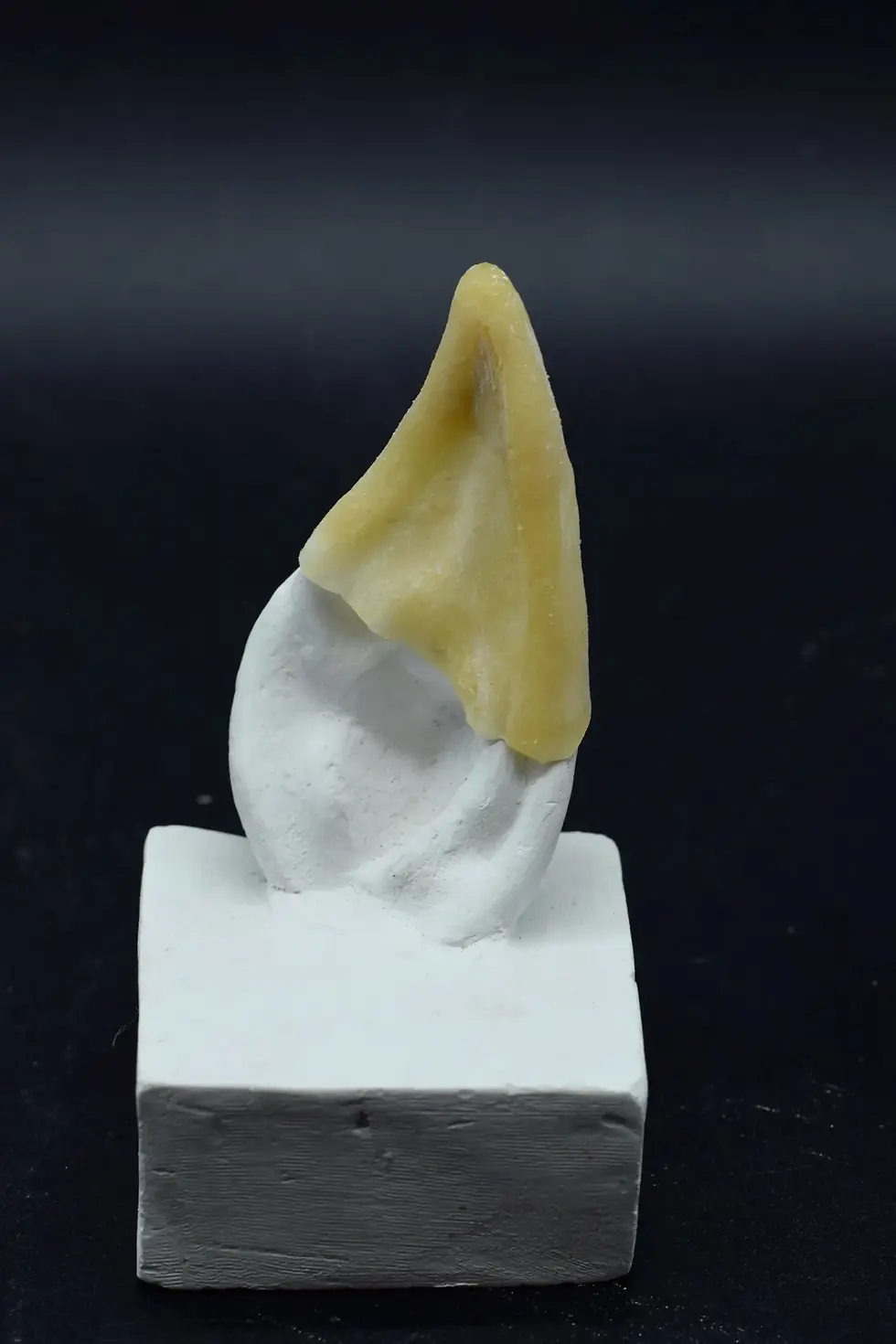 Thumbnail: Orecchie da Elfo - protesi in lattice