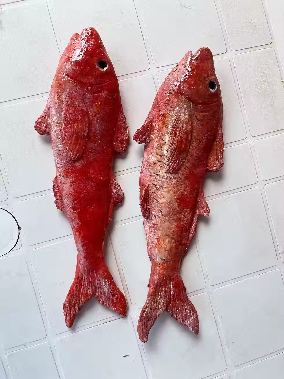 Thumbnail: Pesce Trota - Props in Lattice scala 1:1