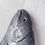 Miniatura: Salmone Finto Mezzo Busto - Props in Lattice scala 1:1