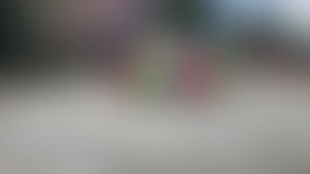 ゆり組運動会練習の様子