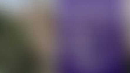 Term 2 2021 - Enrol Now