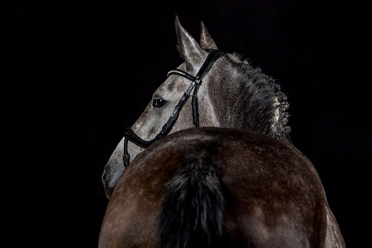 WhatsApp Image 2026-03-05 at 12.34.23 (7).jpeg