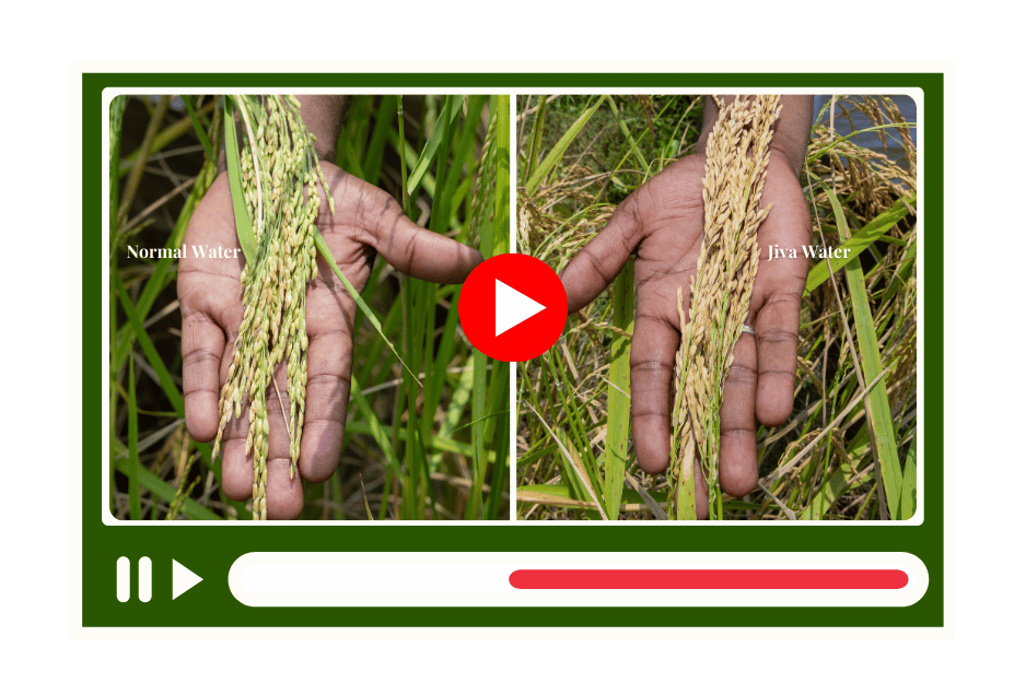 watch the  test video (1).png