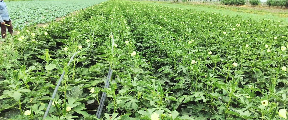 Website Crop card Difference-website (1).jpg