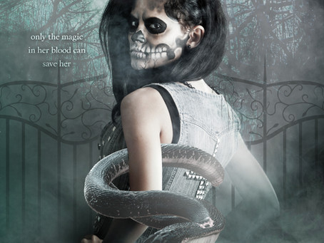 Cover Reveal: Healing The Bayou, by Bestseller Mary Bernsen