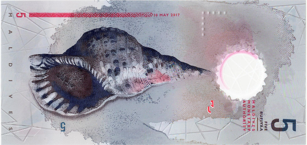 2017 5 RUFIYAA