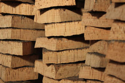 17349875_1049004231867540_82713938463516