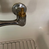 IMG_5492.jpg