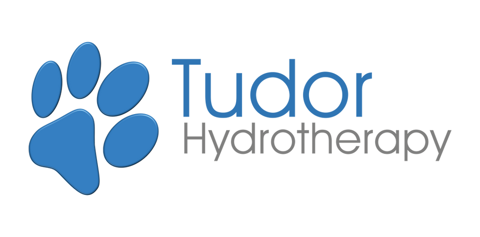 Tudor Hydrotherapy Logo 1.png