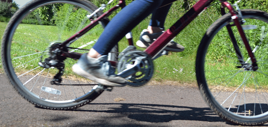 DSC_0221.gif