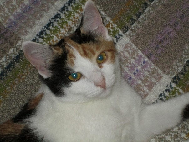 Теперь это Мотя.