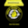Playful Lemon-Themed Logo Design-10.png