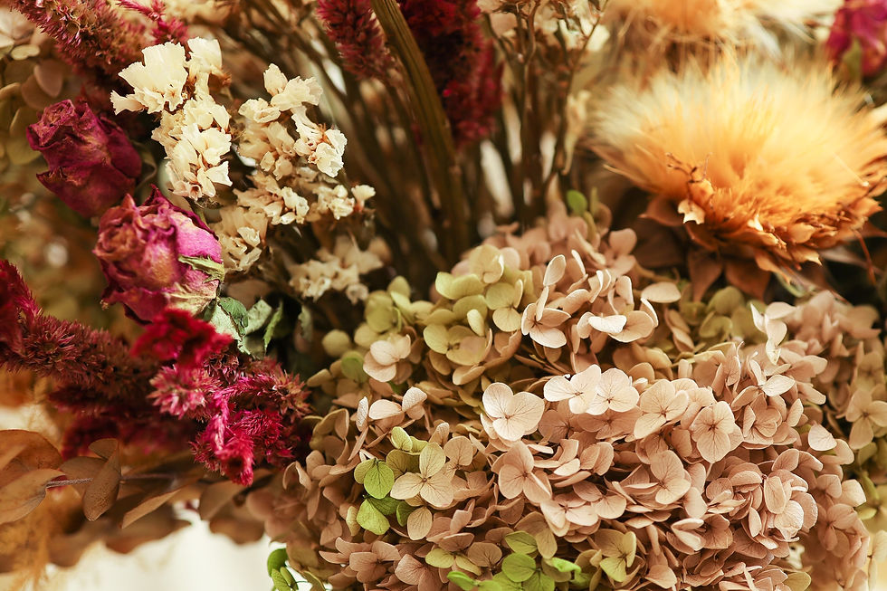 תמונה ממוזערת: Autumn whisper 