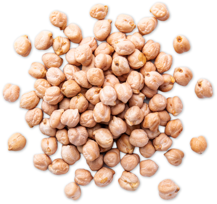 macarena-chickpeas-hero.png