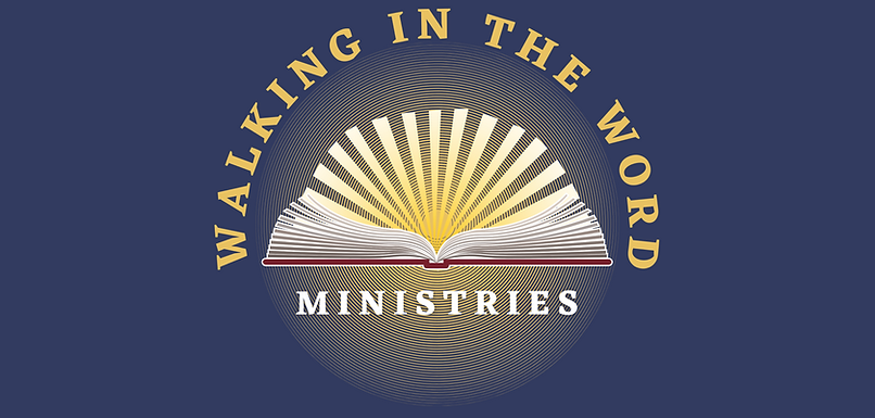 MERRY CHRISTMAS & HAPPY NEW YEAR! (YouTube Banner) (Banner (Landscape)).png