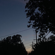crescent moon and portland trees by chelsea bird
